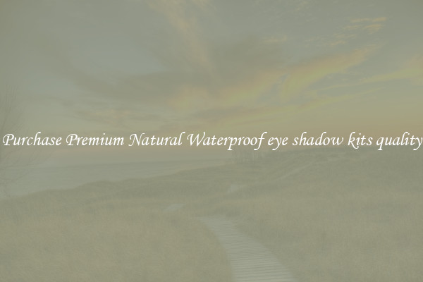 Purchase Premium Natural Waterproof eye shadow kits quality