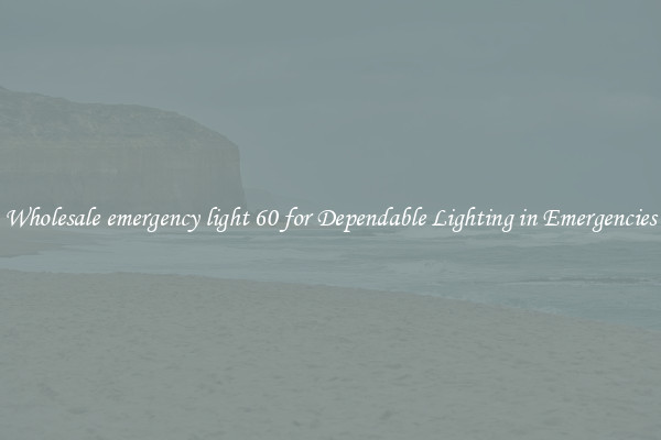 Wholesale emergency light 60 for Dependable Lighting in Emergencies