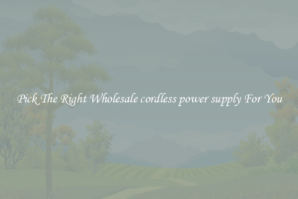 Pick The Right Wholesale cordless power supply For You