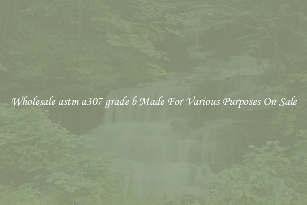 Wholesale astm a307 grade b Made For Various Purposes On Sale