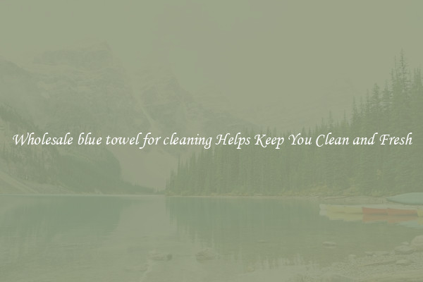 Wholesale blue towel for cleaning Helps Keep You Clean and Fresh