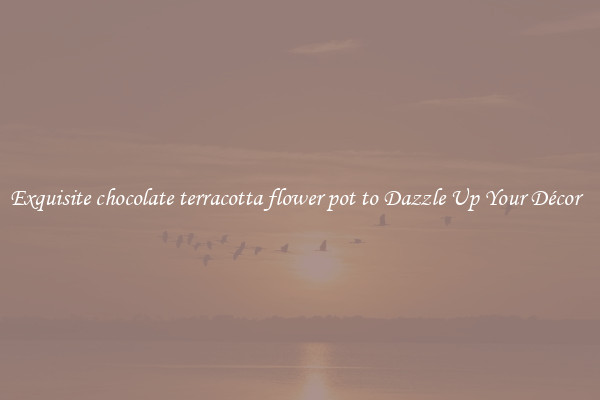 Exquisite chocolate terracotta flower pot to Dazzle Up Your Décor  