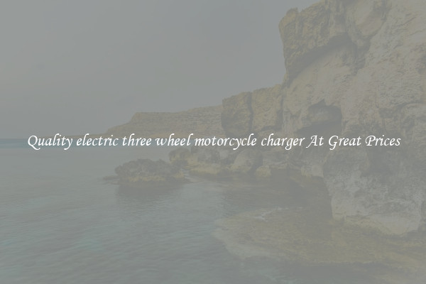 Quality electric three wheel motorcycle charger At Great Prices