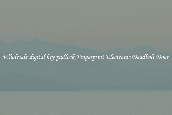 Wholesale digital key padlock Fingerprint Electronic Deadbolt Door 