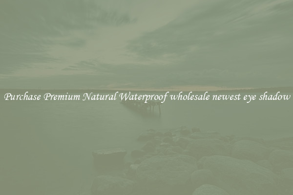 Purchase Premium Natural Waterproof wholesale newest eye shadow