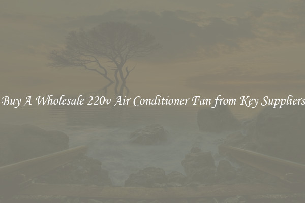 Buy A Wholesale 220v Air Conditioner Fan from Key Suppliers