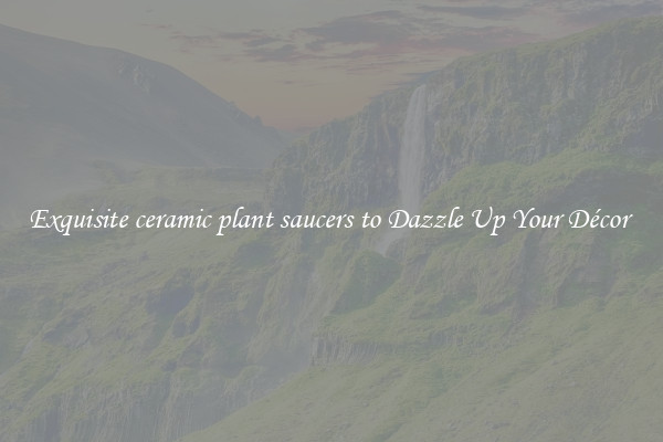 Exquisite ceramic plant saucers to Dazzle Up Your Décor 
