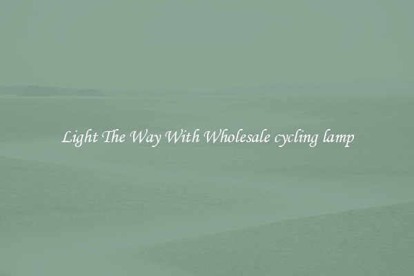 Light The Way With Wholesale cycling lamp