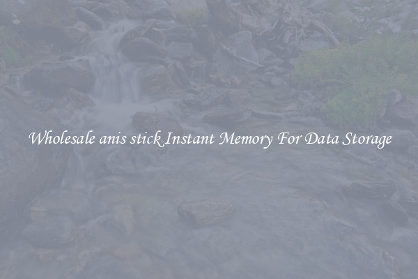 Wholesale anis stick Instant Memory For Data Storage