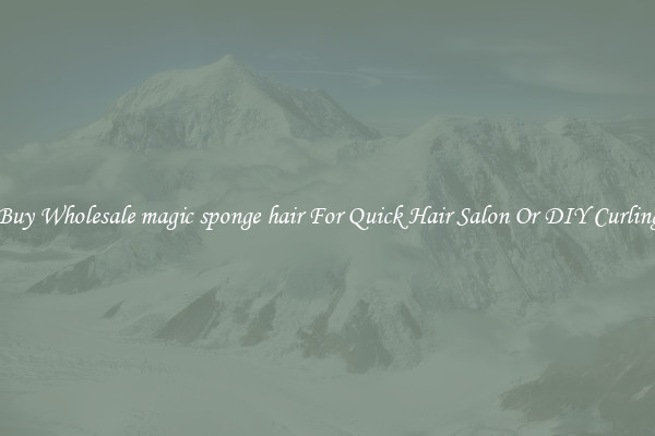 Buy Wholesale magic sponge hair For Quick Hair Salon Or DIY Curling