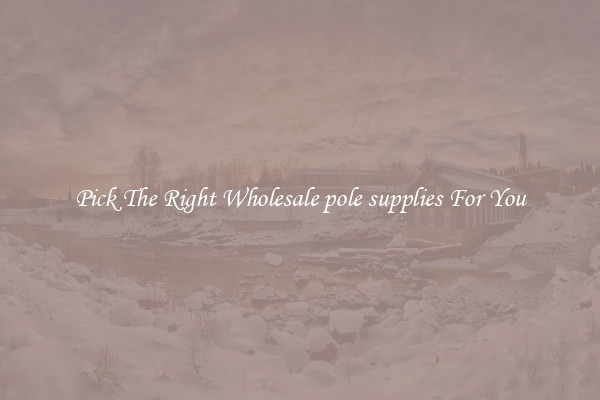 Pick The Right Wholesale pole supplies For You