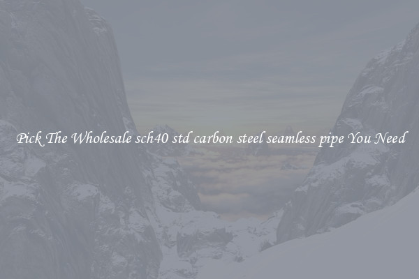 Pick The Wholesale sch40 std carbon steel seamless pipe You Need