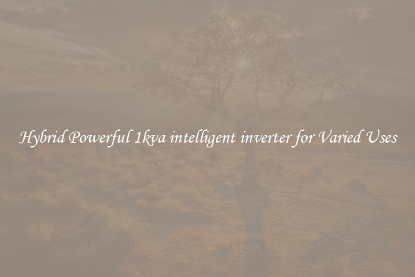 Hybrid Powerful 1kva intelligent inverter for Varied Uses